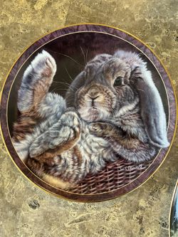 Bunny Tales Plate
