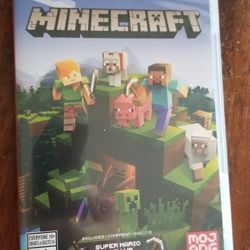 Minecraft Nintendo Switch