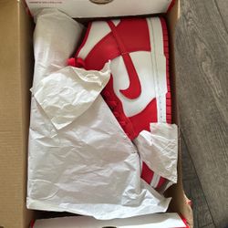  Nike Dunk Hi