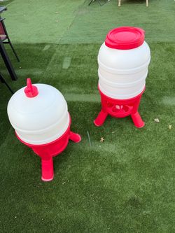 Chicken feeders