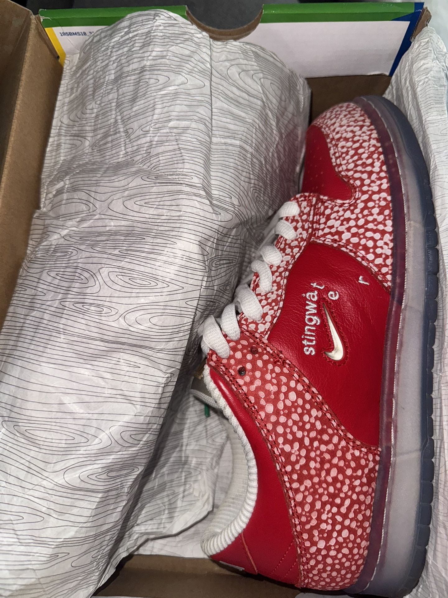 Nike Dunk Low SB Stingwater Magic Mushroom
