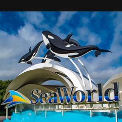 seaworld 🎟️