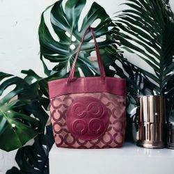 COACH Julia Purple Tote Bag # E1020- 15013