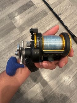 Daiwa Seagate Reel