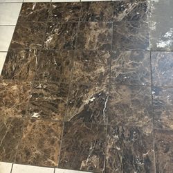 Iso This Type Of Tile. 