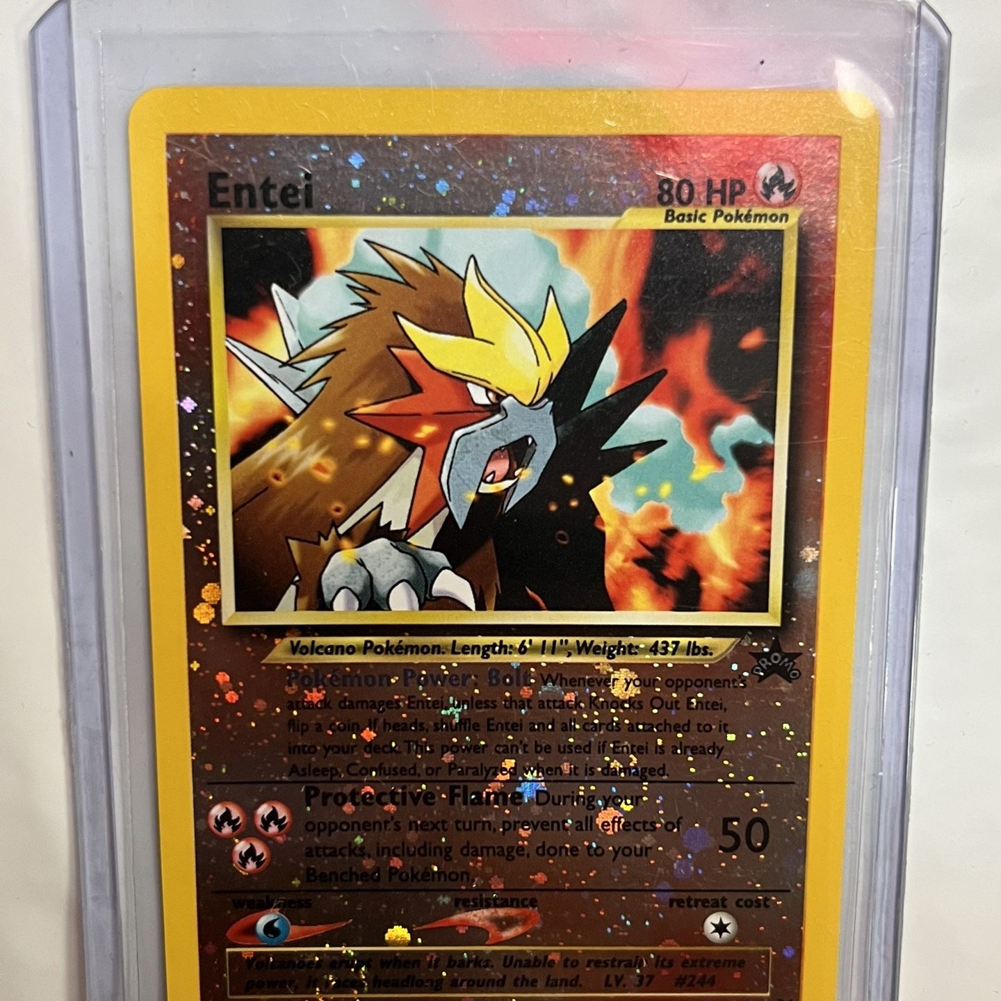 pokemon bug cards Fun fact: every Scarlet Violet set has has an art rate of a bug pokemon! :  r/pokemoncards