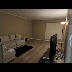 Light Grey Sectional 