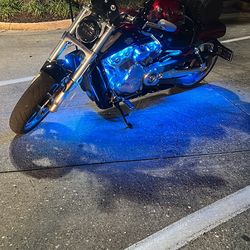 2016 V Rod Muscle