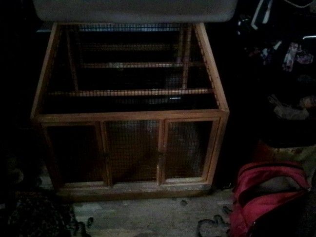 Bird Cage