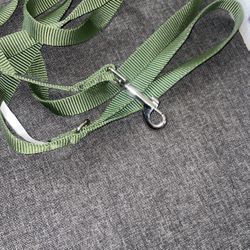 Dog Leash ! 