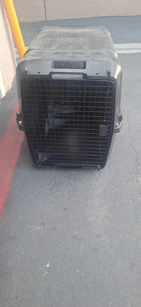 Dog kennel