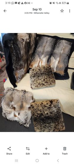 Beautiful  Decorative Pillows..