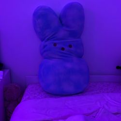 Medium Peep Plush