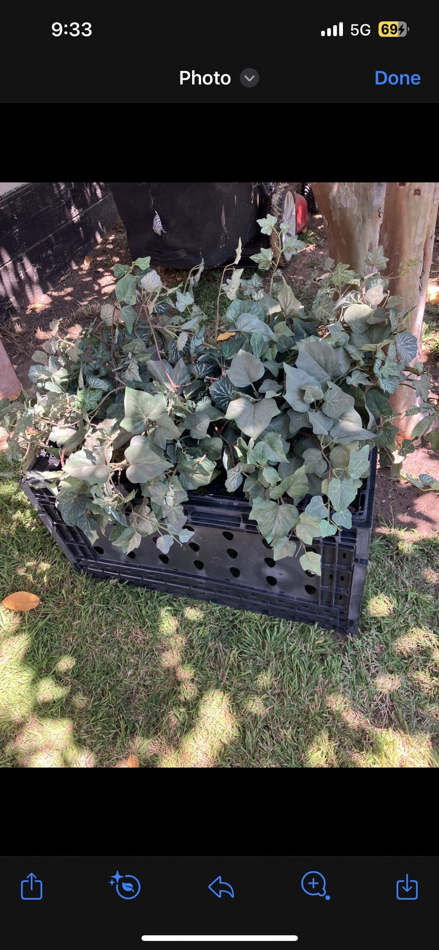 Fake Plants