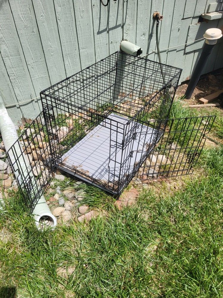 2 Dog Crates