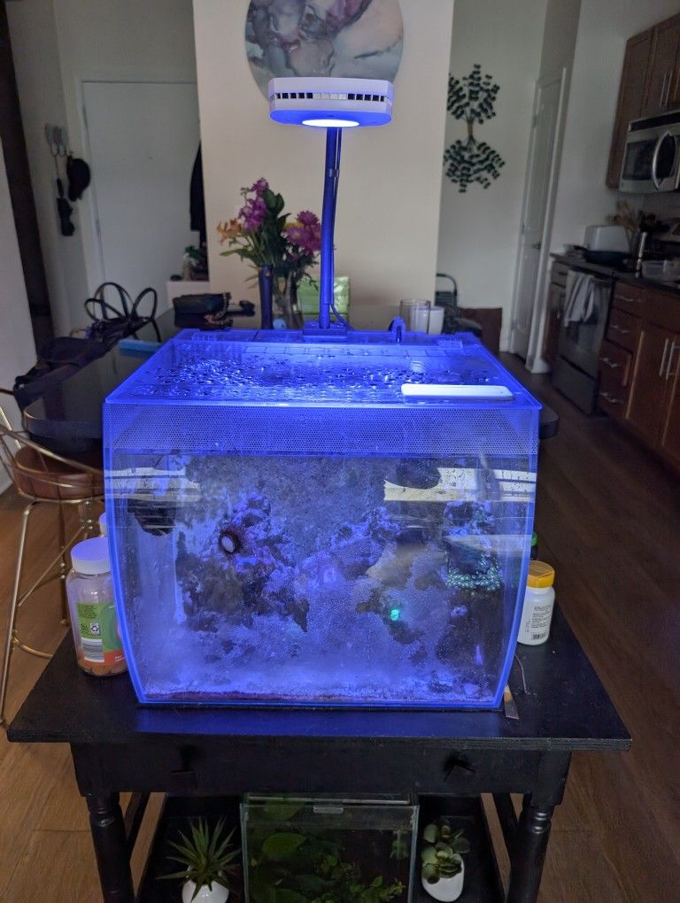 15G Fluval Flex Aquarium