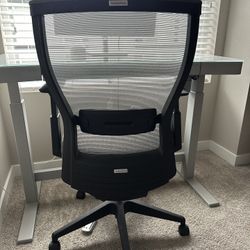 Autonomous Ergo Desk Chair