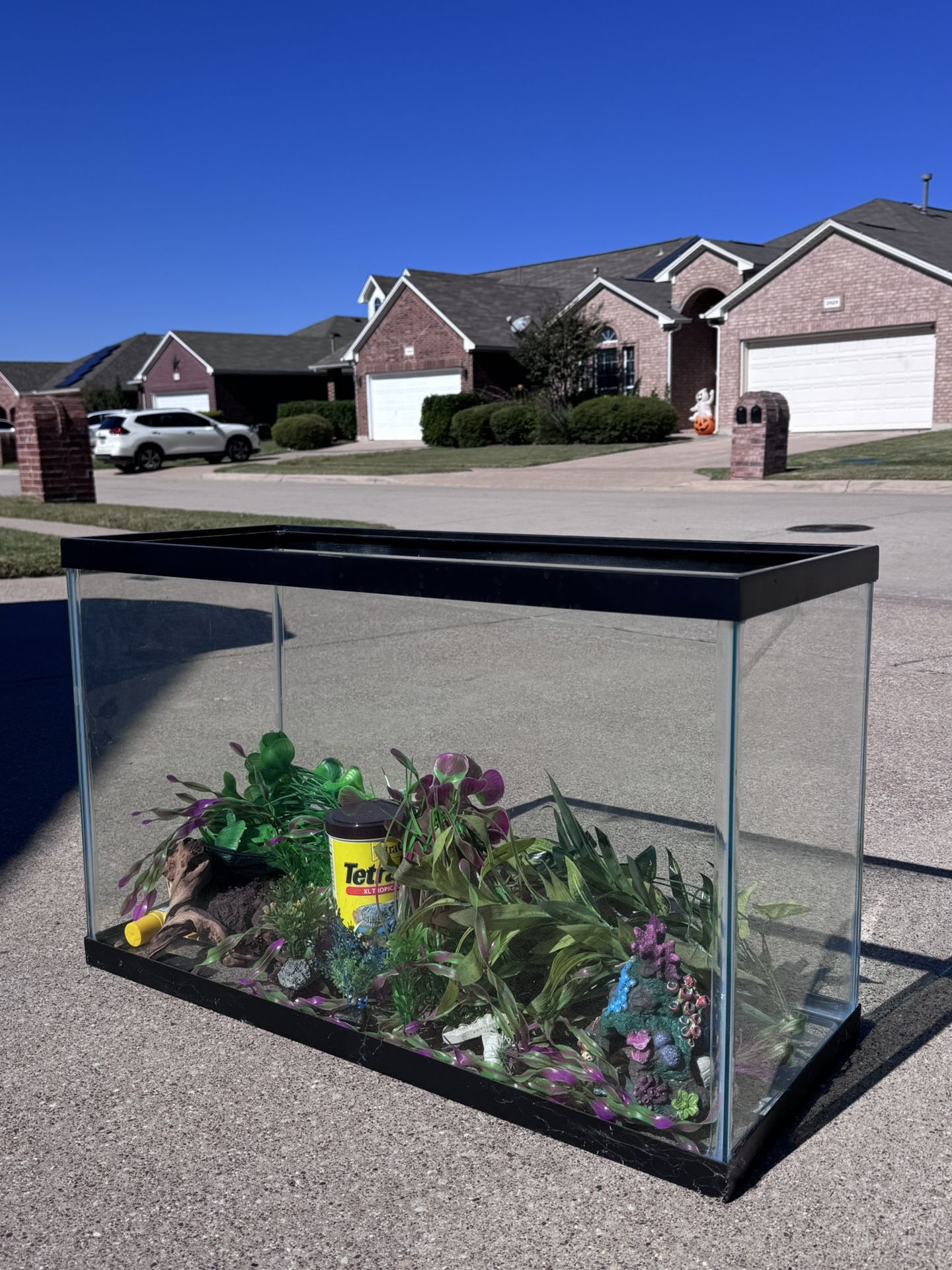 30 Gallon Fish Tank and Decorations 