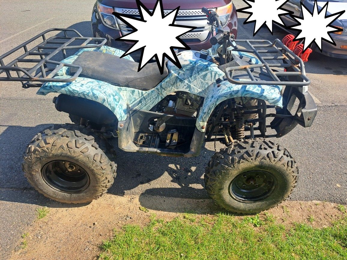 2022 Tao tao Rhino 250