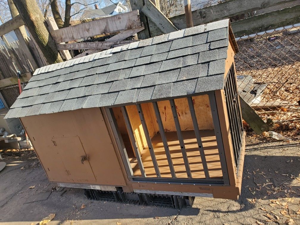 Dog House 