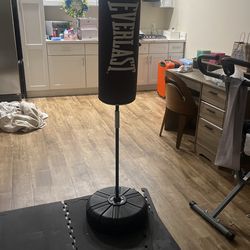 Punch Bag 