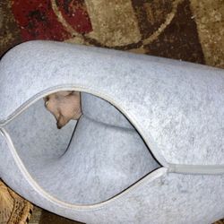 Cat Bed