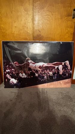 Dennis Rodman poster