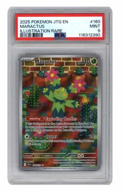 2025 Pokemon Maractus Illustration Rare PSA 9 Mint Card