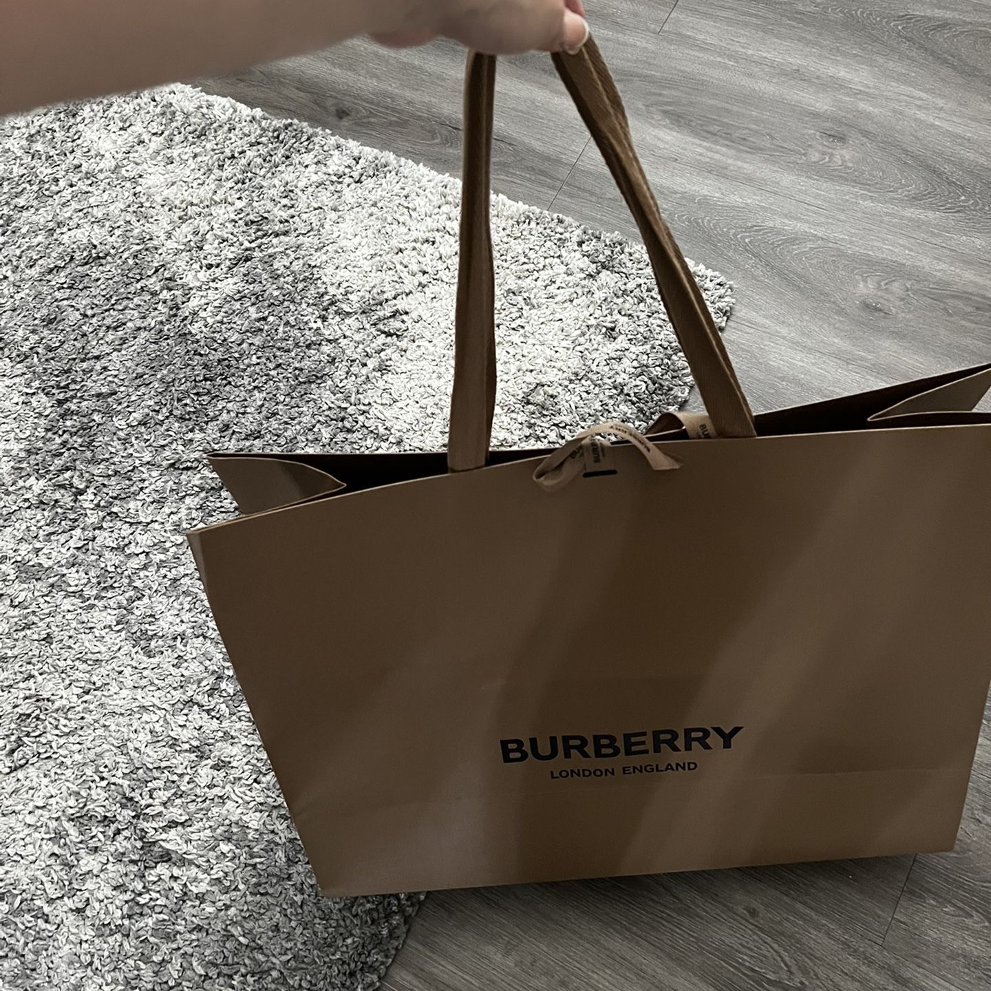 Burberry Bag for Sale in Palm Springs, CA - OfferUp