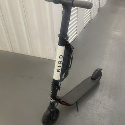 Bird Scooter (18mph)