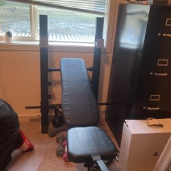 Weight Bench 