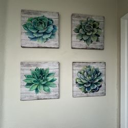 4 Frames Succulent 