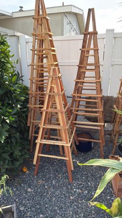 Wood Trellis