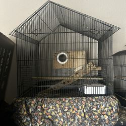 Bird Cage 