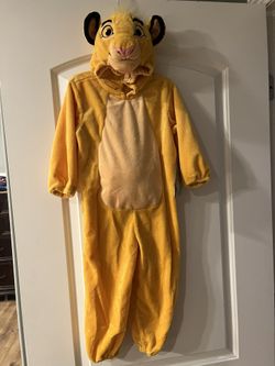 Lion King Costume / New