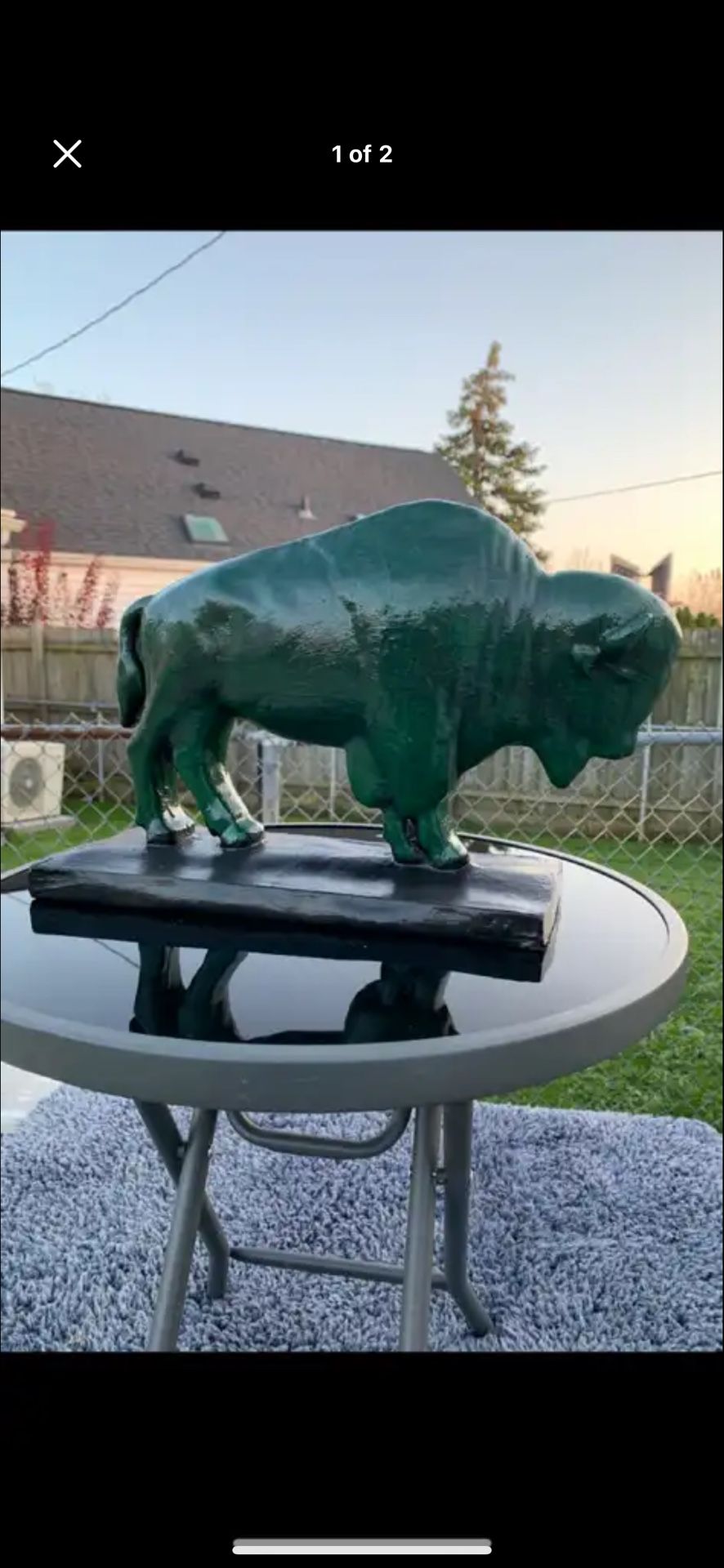 The Old Irish Buffalo