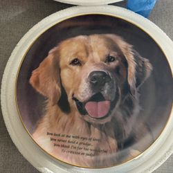 Golden Dog Decorative Plates 