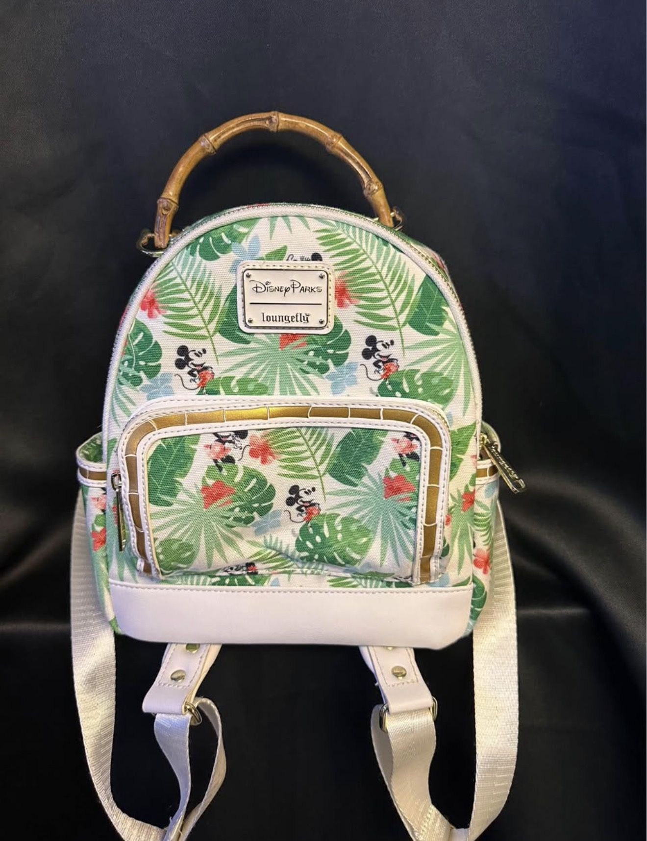 Disney Lounge fly