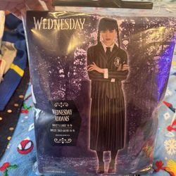 Wednesday Addams Halloween Costume 
