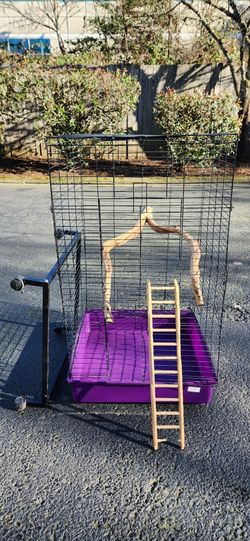 Large Bird House With Accessories 