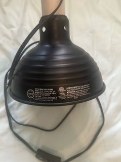 Reptile heat light dome