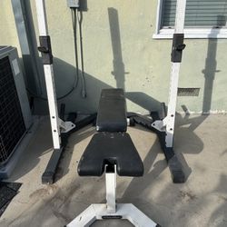 Nautilus Olympic Squat Rack and Nautilus Bench