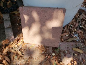 Bricks
