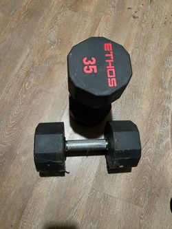 35lb dumbbells