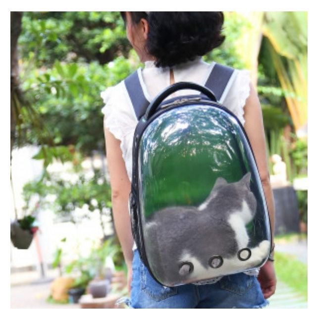 Pet Transparent Bubble Backpack