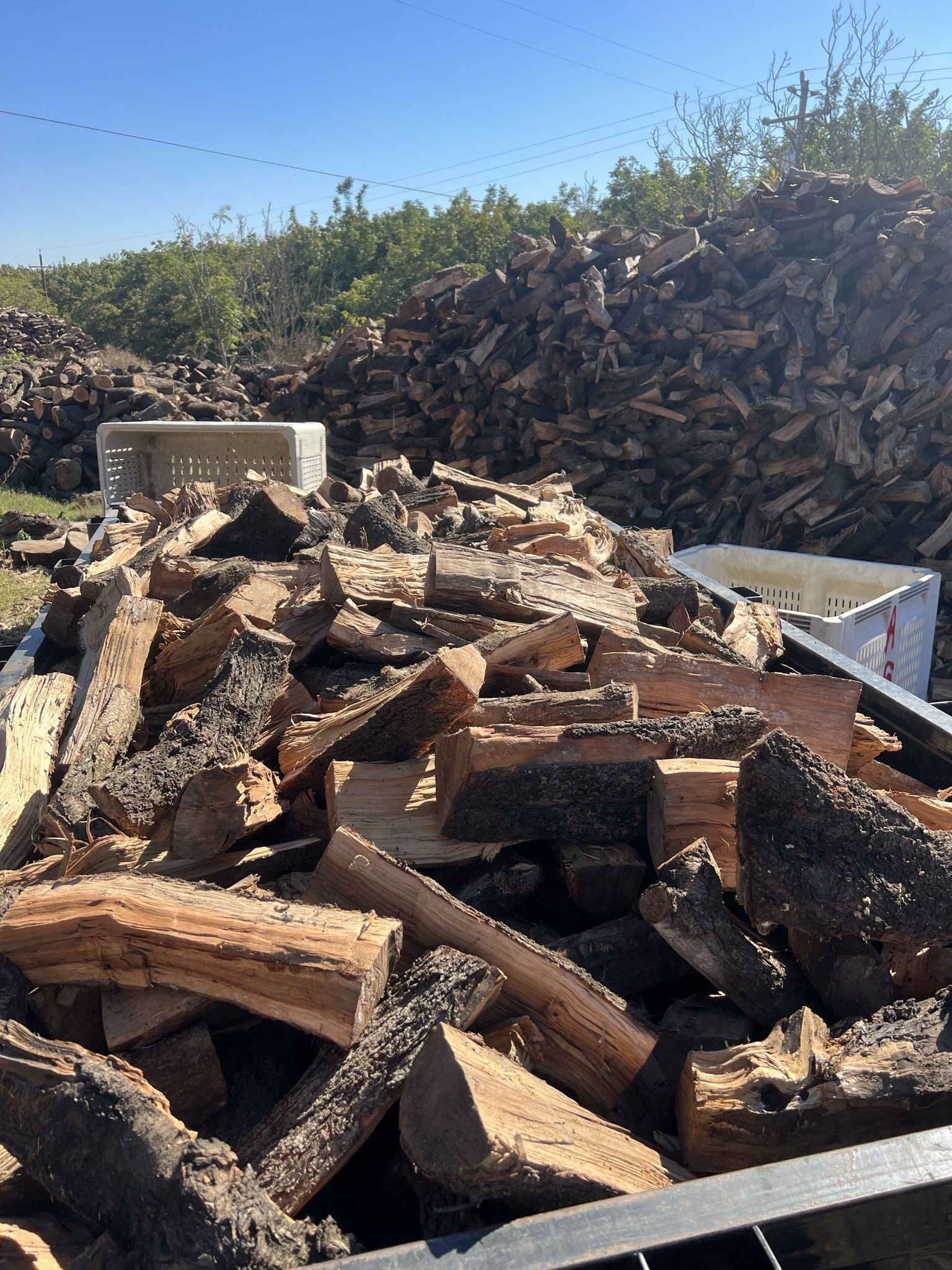 Almond Firewood