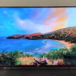 60" Vizio TV