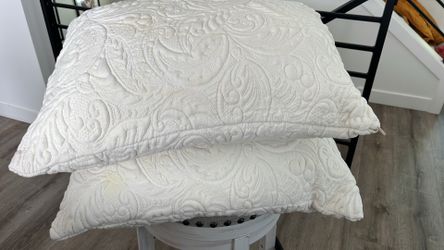 Big Pillows 24 inches x 20 inches