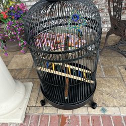 Wrought iron  bird cage