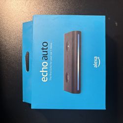 Amazon Echo For Car